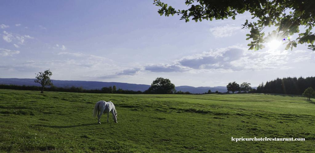 Domaine Le Prieure Hotel Chaumont-le-Bourg Kültér fotó